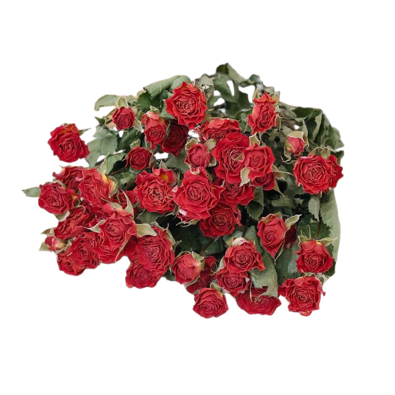 Szárított rózsák, többfejű rózsák, festetlen, csokorhoz, karton csomagolás