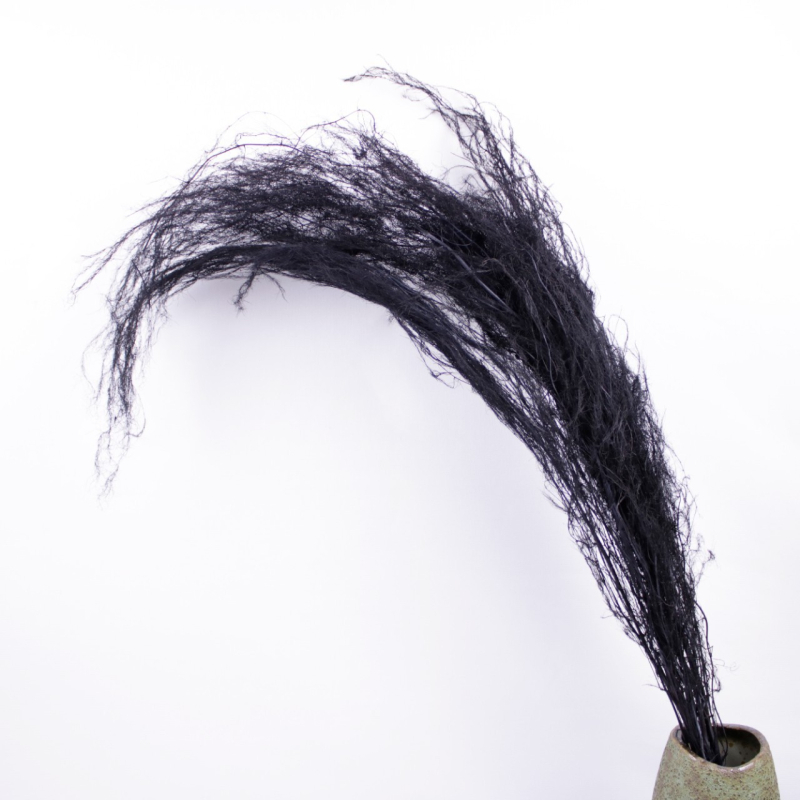 Стенно висящ декоративен аранжимент с вечни цветя — Драконски мустаци, материал: вечни цветя, техника: запазени цветя, марка: Lanxinyige