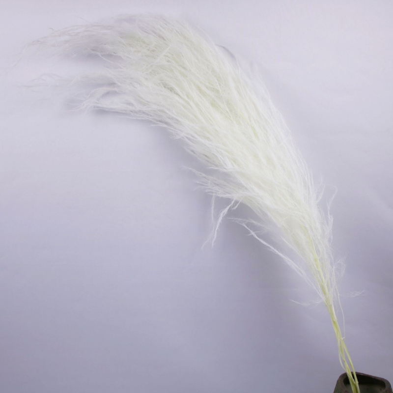 Стенно висящ декоративен аранжимент с вечни цветя — Драконски мустаци, материал: вечни цветя, техника: запазени цветя, марка: Lanxinyige