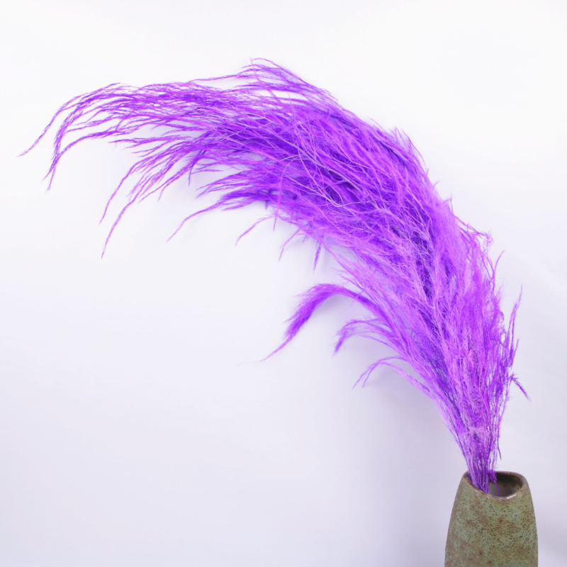 Стенно висящ декоративен аранжимент с вечни цветя — Драконски мустаци, материал: вечни цветя, техника: запазени цветя, марка: Lanxinyige