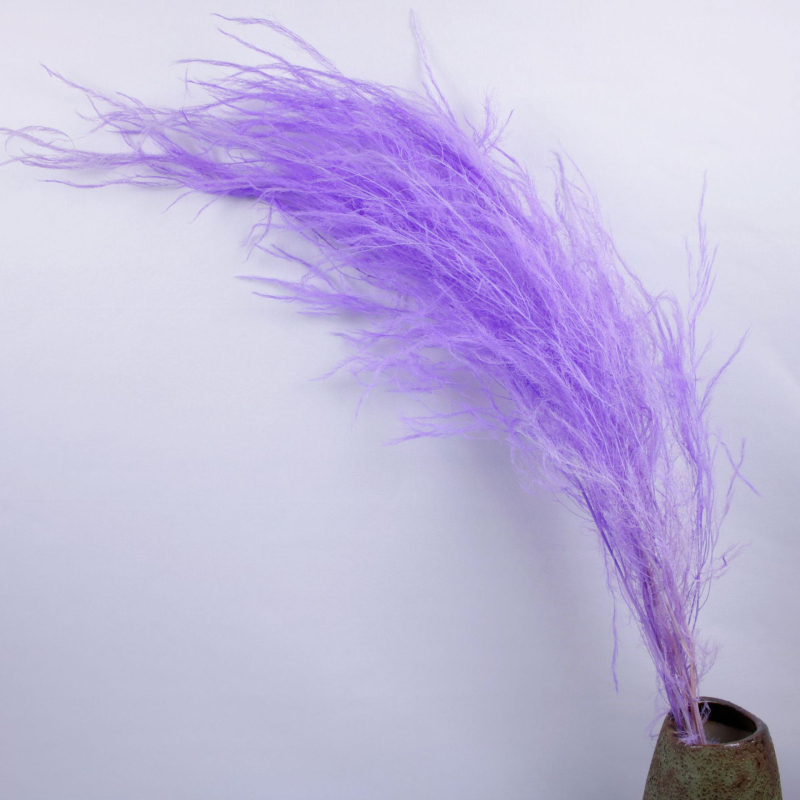 Стенно висящ декоративен аранжимент с вечни цветя — Драконски мустаци, материал: вечни цветя, техника: запазени цветя, марка: Lanxinyige