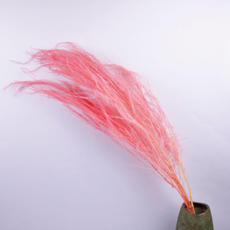 Стенно висящ декоративен аранжимент с вечни цветя — Драконски мустаци, материал: вечни цветя, техника: запазени цветя, марка: Lanxinyige