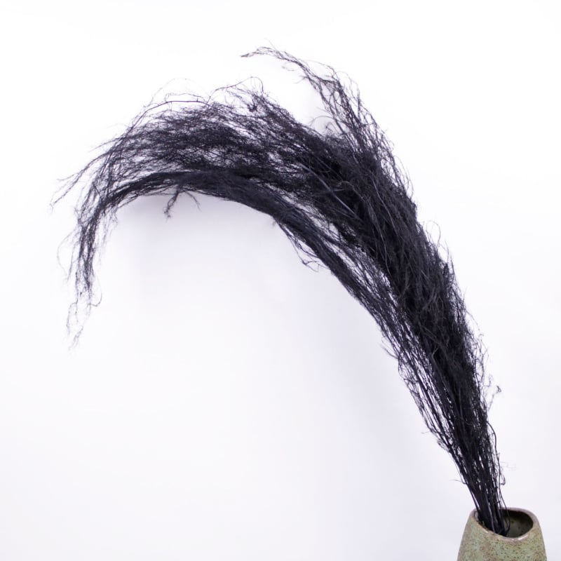 Стенно висящ декоративен аранжимент с вечни цветя — Драконски мустаци, материал: вечни цветя, техника: запазени цветя, марка: Lanxinyige