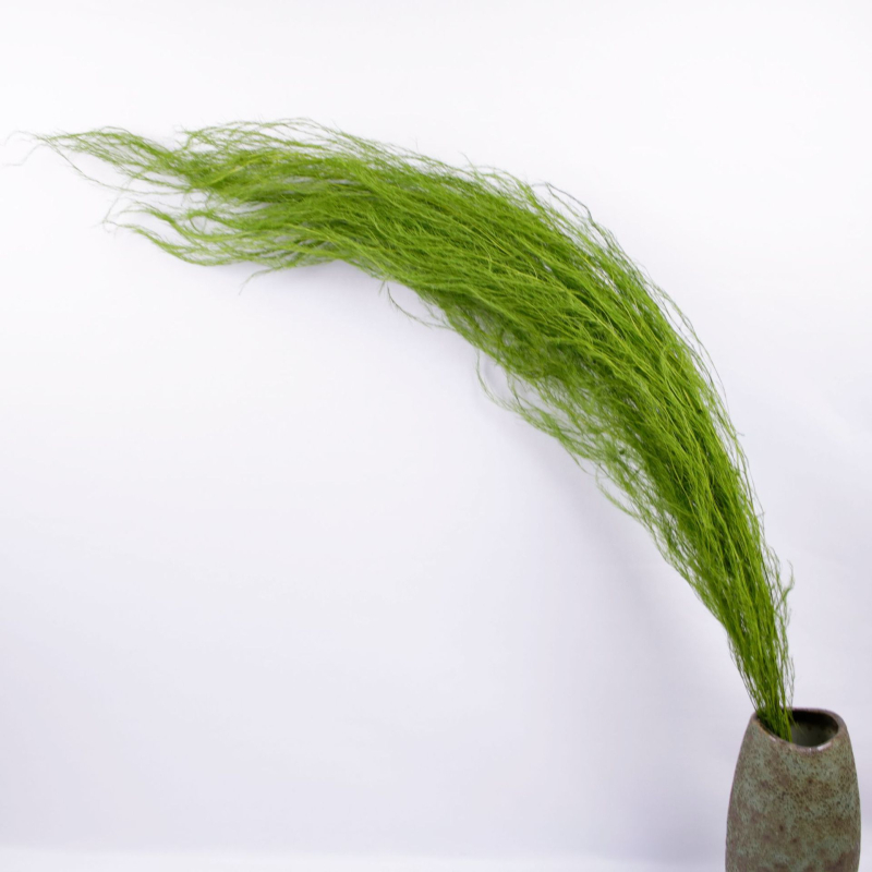 Стенно висящ декоративен аранжимент с вечни цветя — Драконски мустаци, материал: вечни цветя, техника: запазени цветя, марка: Lanxinyige