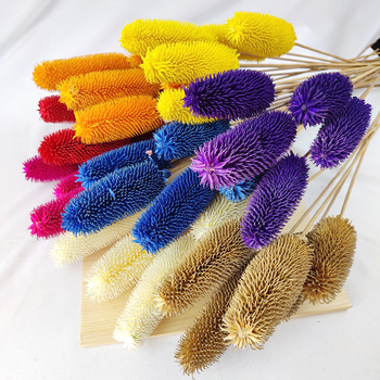 Μπουκέτο αποξηραμένων λουλουδιών με αποξηραμένες φλέβες φύλλων, ποικιλία Brushed fruit, συσκευασία σε σακούλα OPP