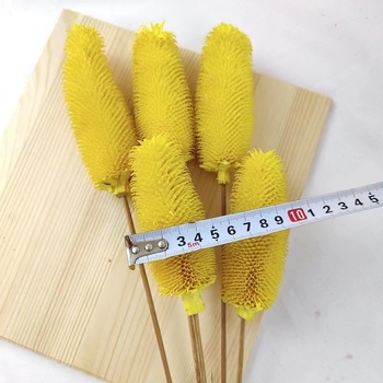 Μπουκέτο αποξηραμένων λουλουδιών με αποξηραμένες φλέβες φύλλων, ποικιλία Brushed fruit, συσκευασία σε σακούλα OPP