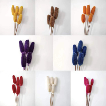 Μπουκέτο αποξηραμένων λουλουδιών με αποξηραμένες φλέβες φύλλων, ποικιλία Brushed fruit, συσκευασία σε σακούλα OPP