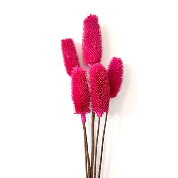 Μπουκέτο αποξηραμένων λουλουδιών με αποξηραμένες φλέβες φύλλων, ποικιλία Brushed fruit, συσκευασία σε σακούλα OPP