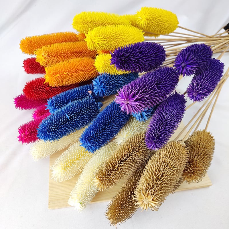 Μπουκέτο αποξηραμένων λουλουδιών με αποξηραμένες φλέβες φύλλων, ποικιλία Brushed fruit, συσκευασία σε σακούλα OPP