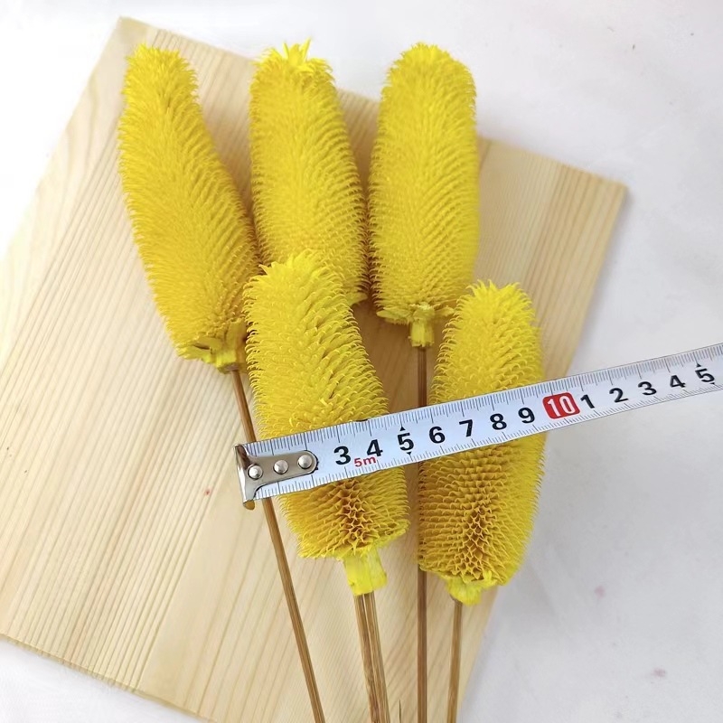 Μπουκέτο αποξηραμένων λουλουδιών με αποξηραμένες φλέβες φύλλων, ποικιλία Brushed fruit, συσκευασία σε σακούλα OPP