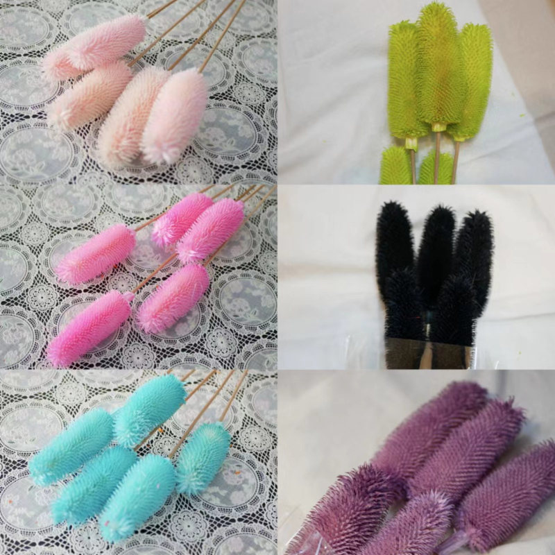 Μπουκέτο αποξηραμένων λουλουδιών με αποξηραμένες φλέβες φύλλων, ποικιλία Brushed fruit, συσκευασία σε σακούλα OPP