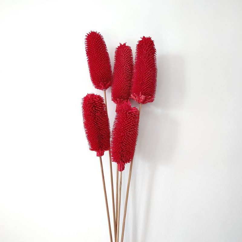 Μπουκέτο αποξηραμένων λουλουδιών με αποξηραμένες φλέβες φύλλων, ποικιλία Brushed fruit, συσκευασία σε σακούλα OPP