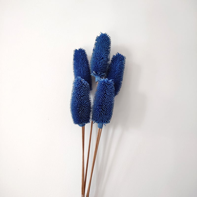 Μπουκέτο αποξηραμένων λουλουδιών με αποξηραμένες φλέβες φύλλων, ποικιλία Brushed fruit, συσκευασία σε σακούλα OPP