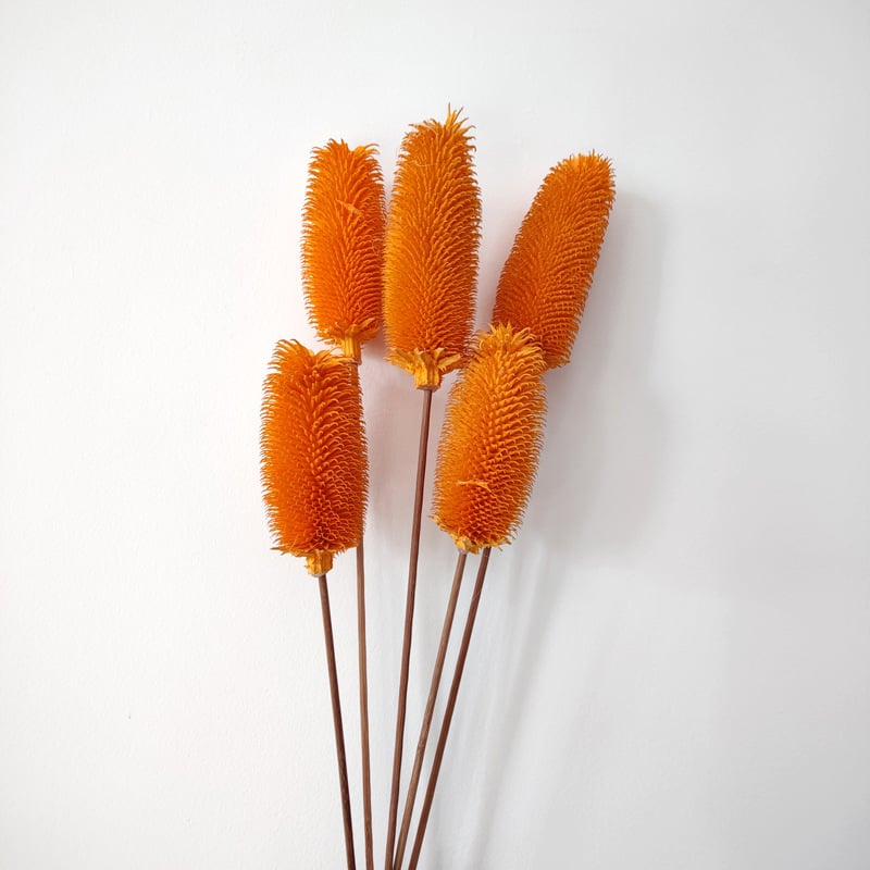 Μπουκέτο αποξηραμένων λουλουδιών με αποξηραμένες φλέβες φύλλων, ποικιλία Brushed fruit, συσκευασία σε σακούλα OPP