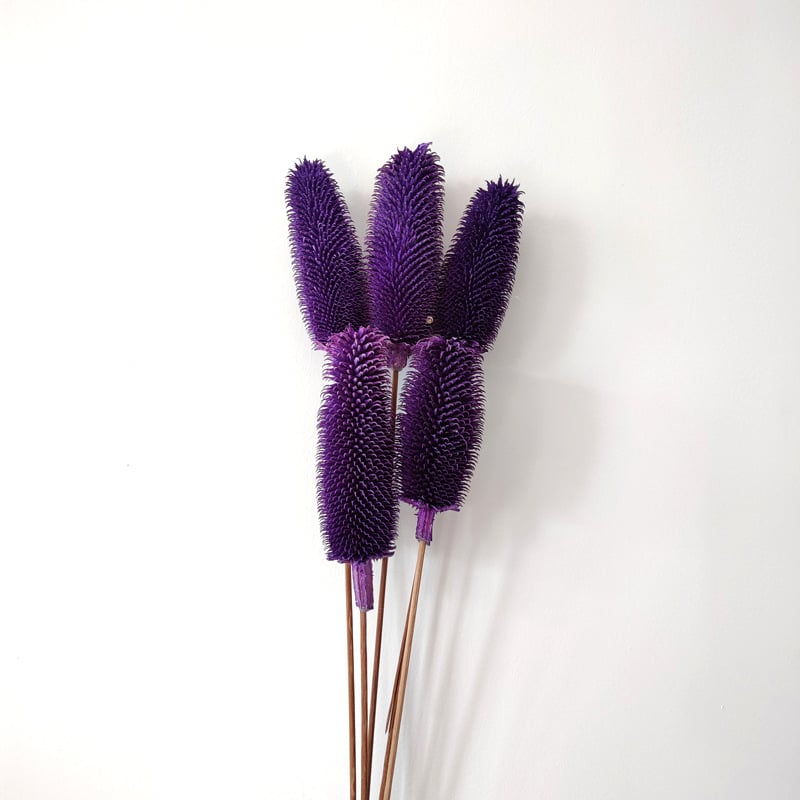 Μπουκέτο αποξηραμένων λουλουδιών με αποξηραμένες φλέβες φύλλων, ποικιλία Brushed fruit, συσκευασία σε σακούλα OPP