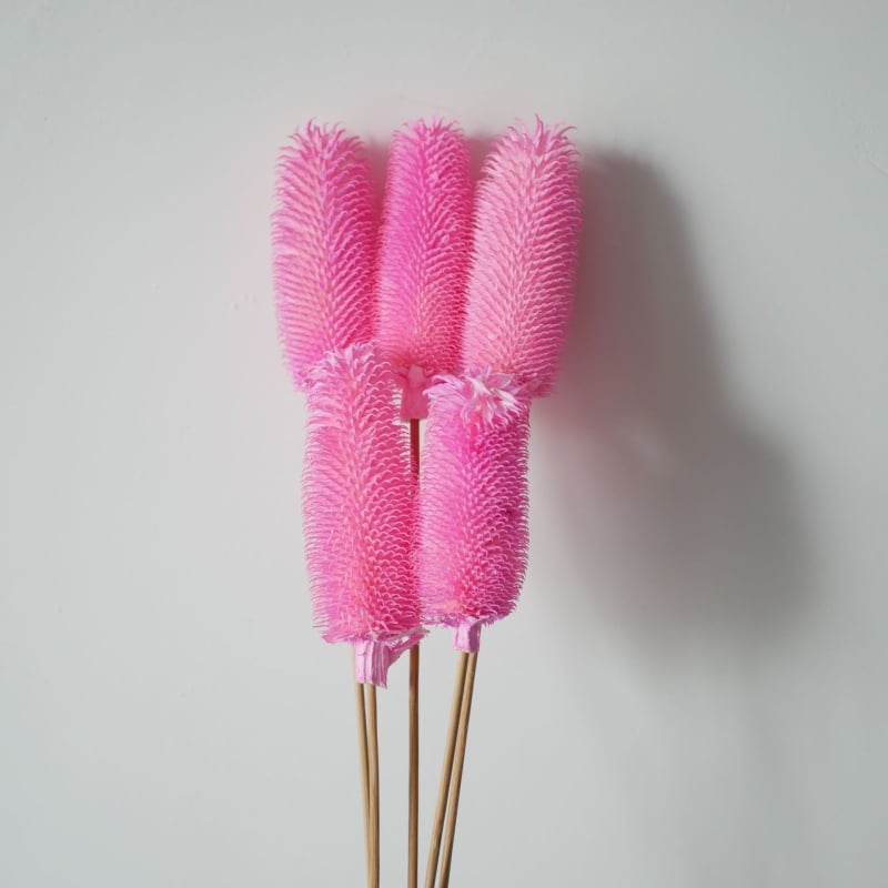 Μπουκέτο αποξηραμένων λουλουδιών με αποξηραμένες φλέβες φύλλων, ποικιλία Brushed fruit, συσκευασία σε σακούλα OPP