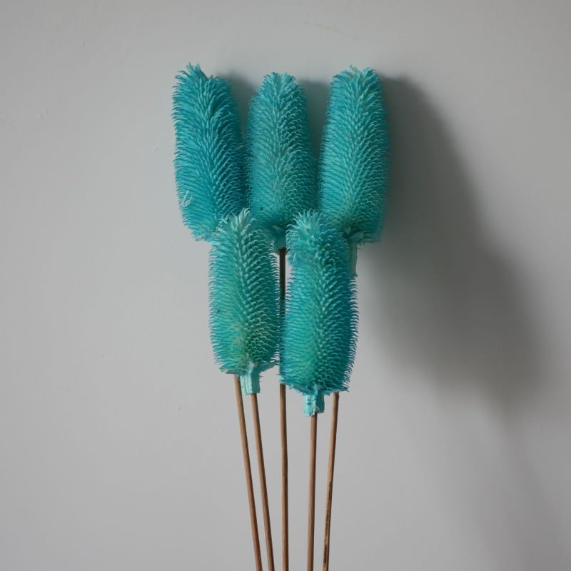 Μπουκέτο αποξηραμένων λουλουδιών με αποξηραμένες φλέβες φύλλων, ποικιλία Brushed fruit, συσκευασία σε σακούλα OPP