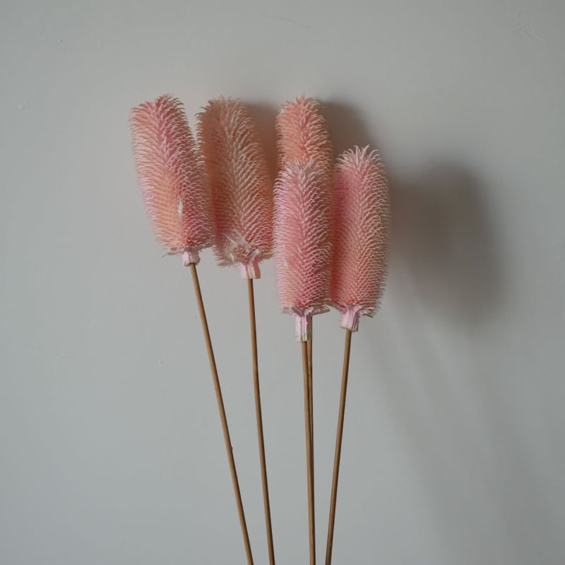 Μπουκέτο αποξηραμένων λουλουδιών με αποξηραμένες φλέβες φύλλων, ποικιλία Brushed fruit, συσκευασία σε σακούλα OPP