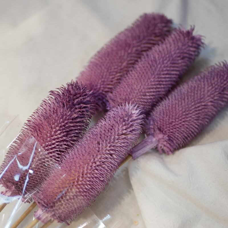 Μπουκέτο αποξηραμένων λουλουδιών με αποξηραμένες φλέβες φύλλων, ποικιλία Brushed fruit, συσκευασία σε σακούλα OPP