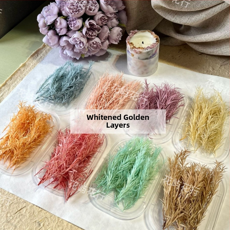 DIY rinkinys su išsaugotomis gėlėmis | Daugiasluoksnė įvairovė | Produkto kodas Ali-727499540242