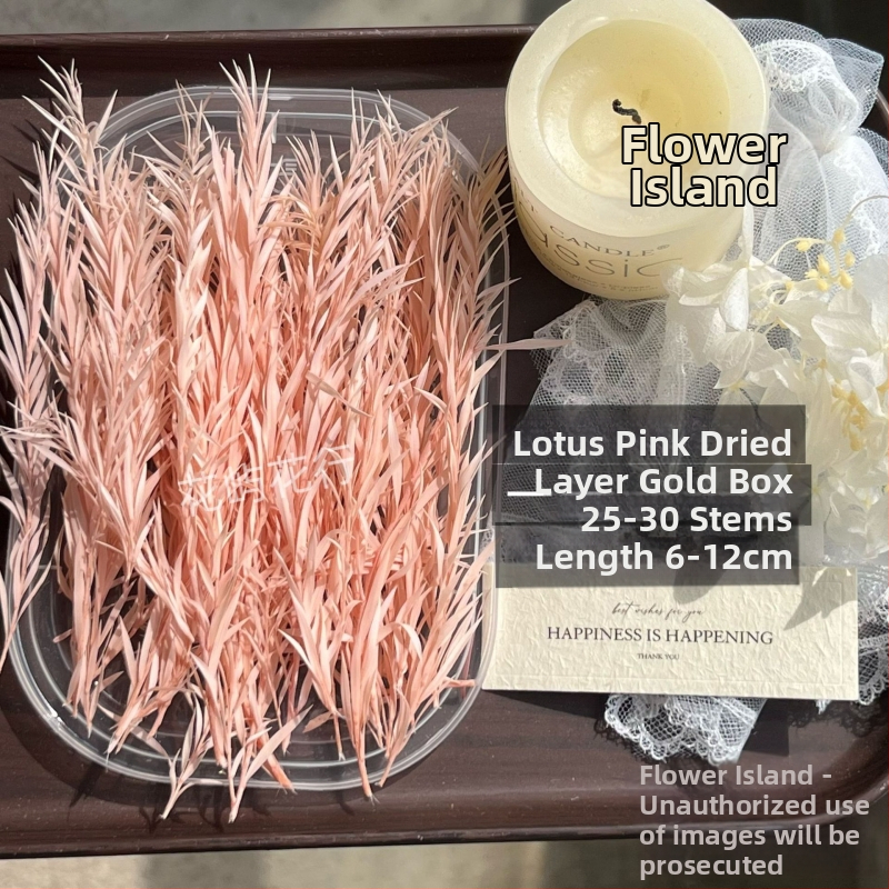 Kit DIY cu flori conservate | varietate cu mai multe straturi | Codul produsului Ali-727499540242