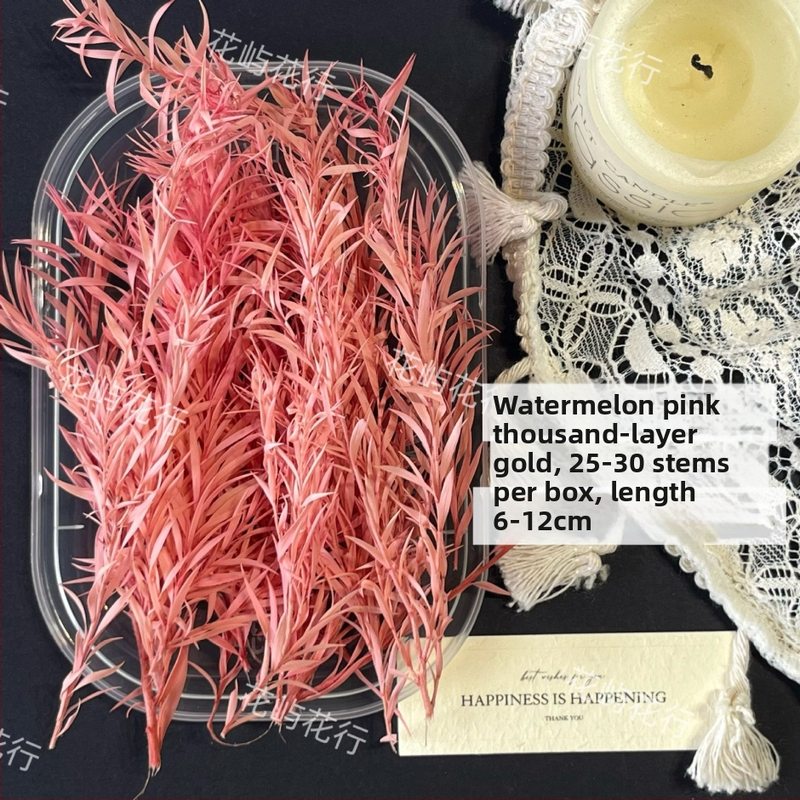 Kit DIY cu flori conservate | varietate cu mai multe straturi | Codul produsului Ali-727499540242