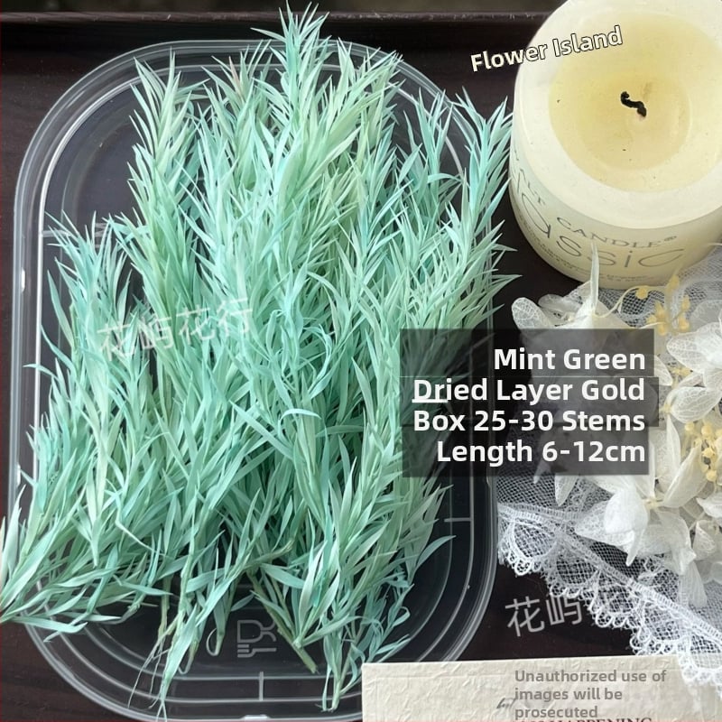 Kit DIY cu flori conservate | varietate cu mai multe straturi | Codul produsului Ali-727499540242