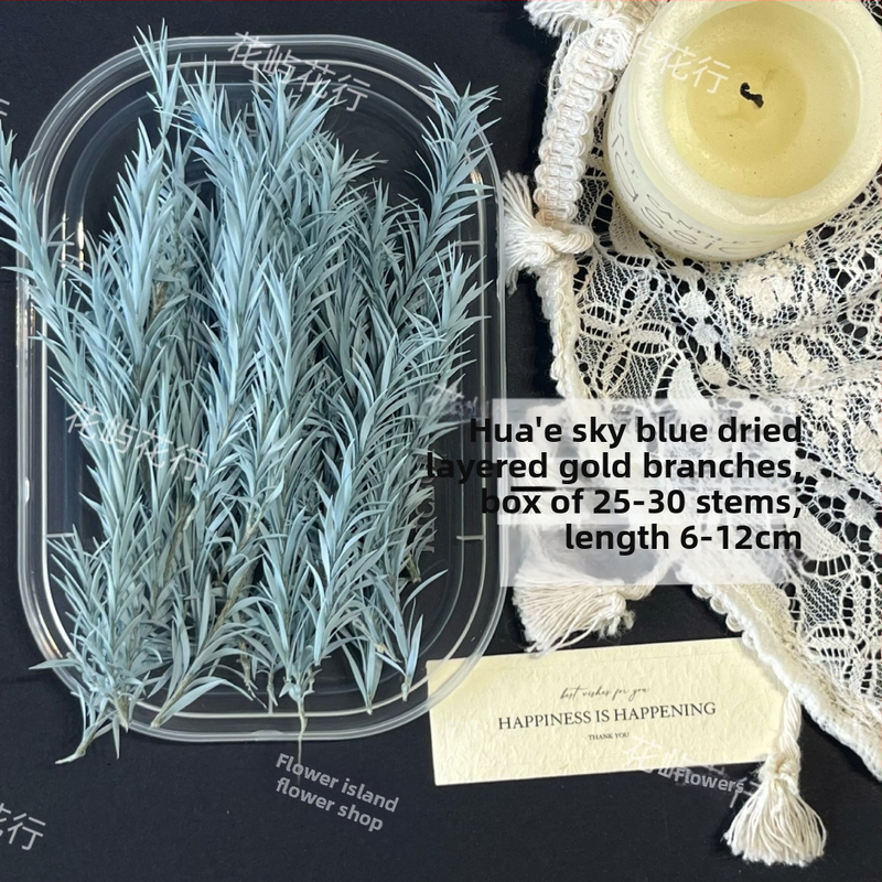 Kit DIY cu flori conservate | varietate cu mai multe straturi | Codul produsului Ali-727499540242