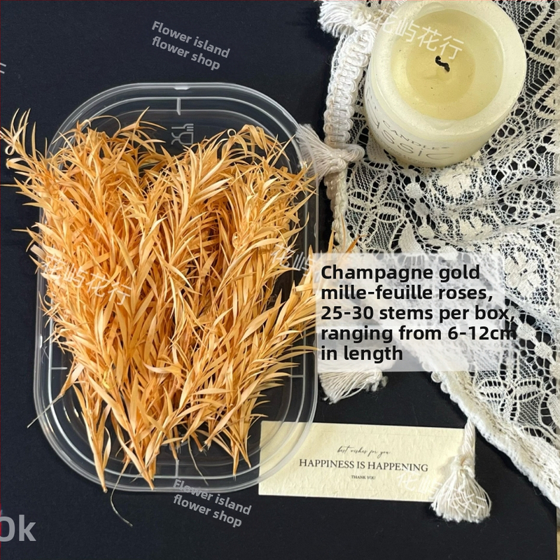 Kit DIY cu flori conservate | varietate cu mai multe straturi | Codul produsului Ali-727499540242