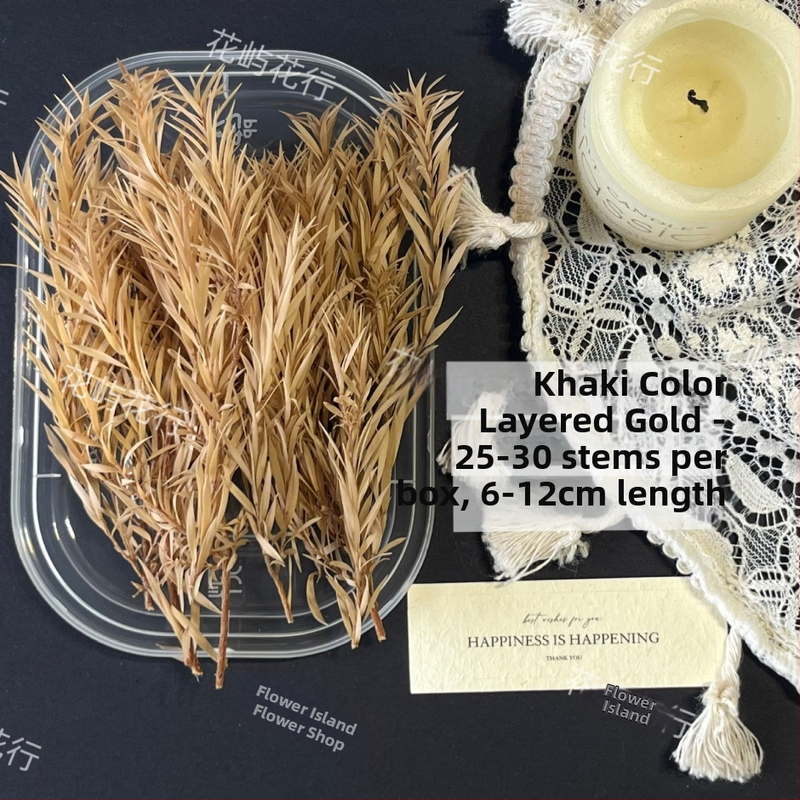 Kit DIY cu flori conservate | varietate cu mai multe straturi | Codul produsului Ali-727499540242