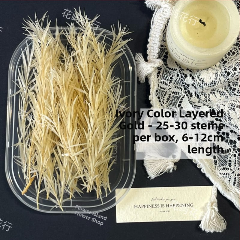 Kit DIY cu flori conservate | varietate cu mai multe straturi | Codul produsului Ali-727499540242