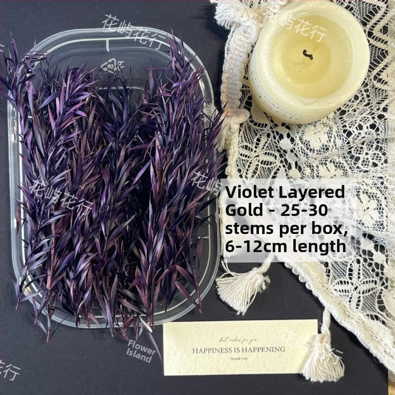 Kit DIY cu flori conservate | varietate cu mai multe straturi | Codul produsului Ali-727499540242