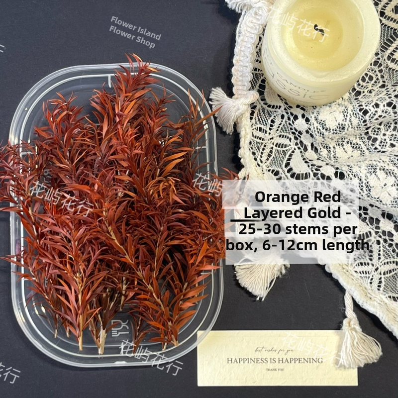 Kit DIY cu flori conservate | varietate cu mai multe straturi | Codul produsului Ali-727499540242