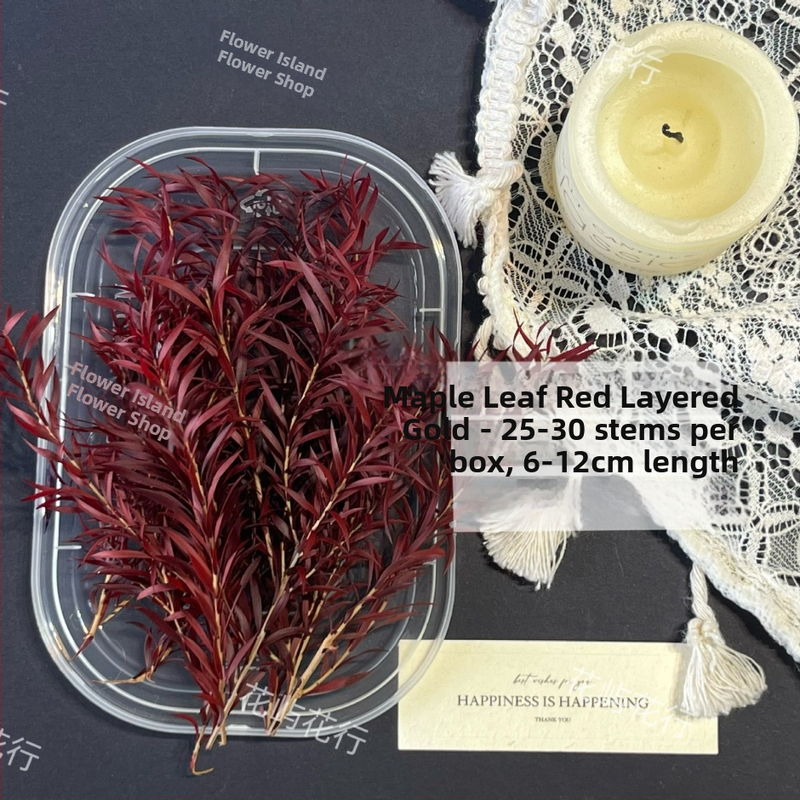 Kit DIY cu flori conservate | varietate cu mai multe straturi | Codul produsului Ali-727499540242