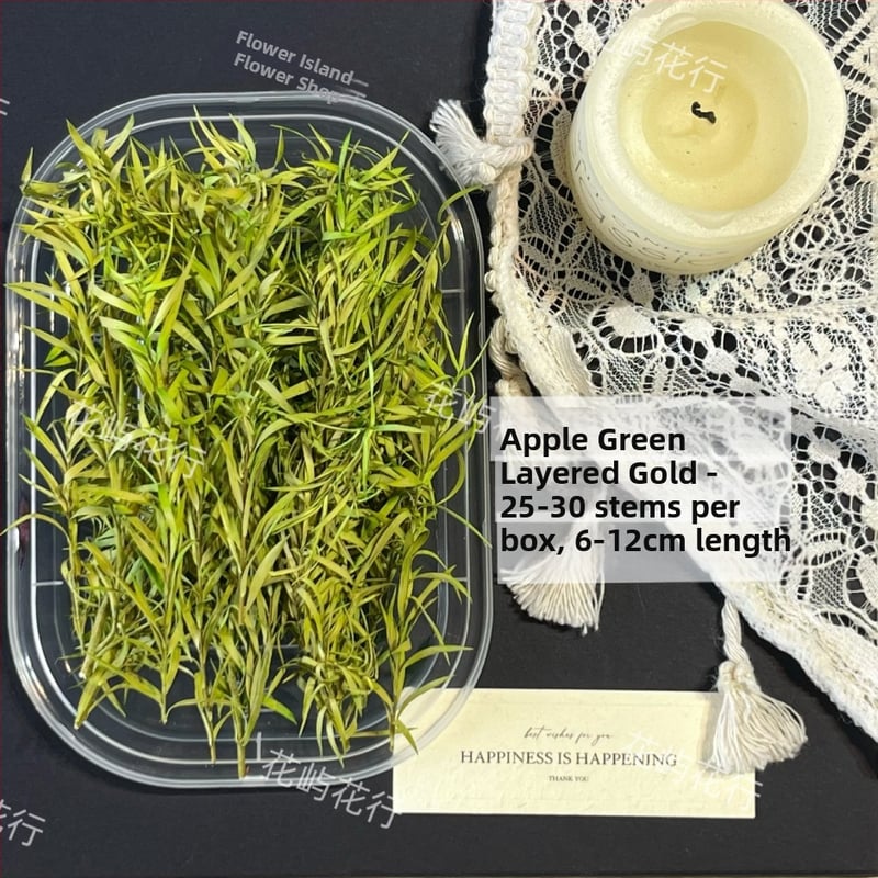 Kit DIY cu flori conservate | varietate cu mai multe straturi | Codul produsului Ali-727499540242