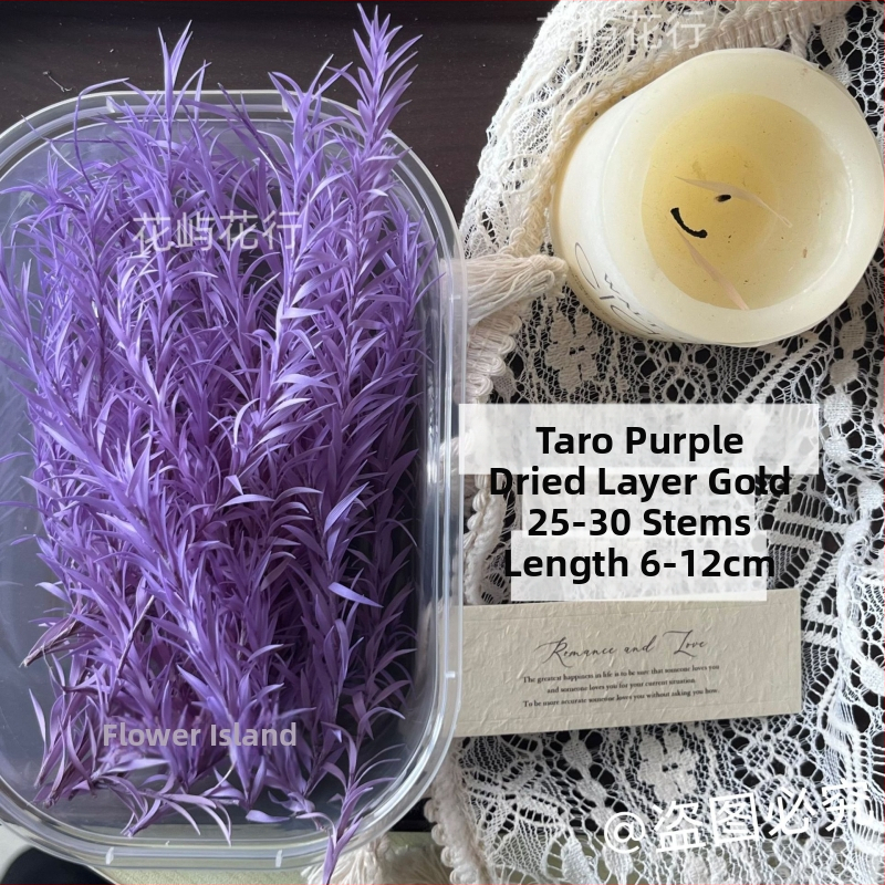 Kit DIY cu flori conservate | varietate cu mai multe straturi | Codul produsului Ali-727499540242