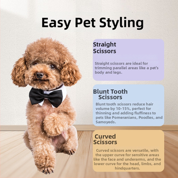 Set de foarfeci pentru îngrijirea animalelor Gutche — oțel inoxidabil, foarfeci de tunsoare pentru câini, ambalaj de 400 bucăți, marcă privată autorizată