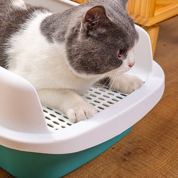 Ημι-κλειστή λεκάνη γάτας με ενσωματωμένο δίσκο, PP υλικό, Jasley