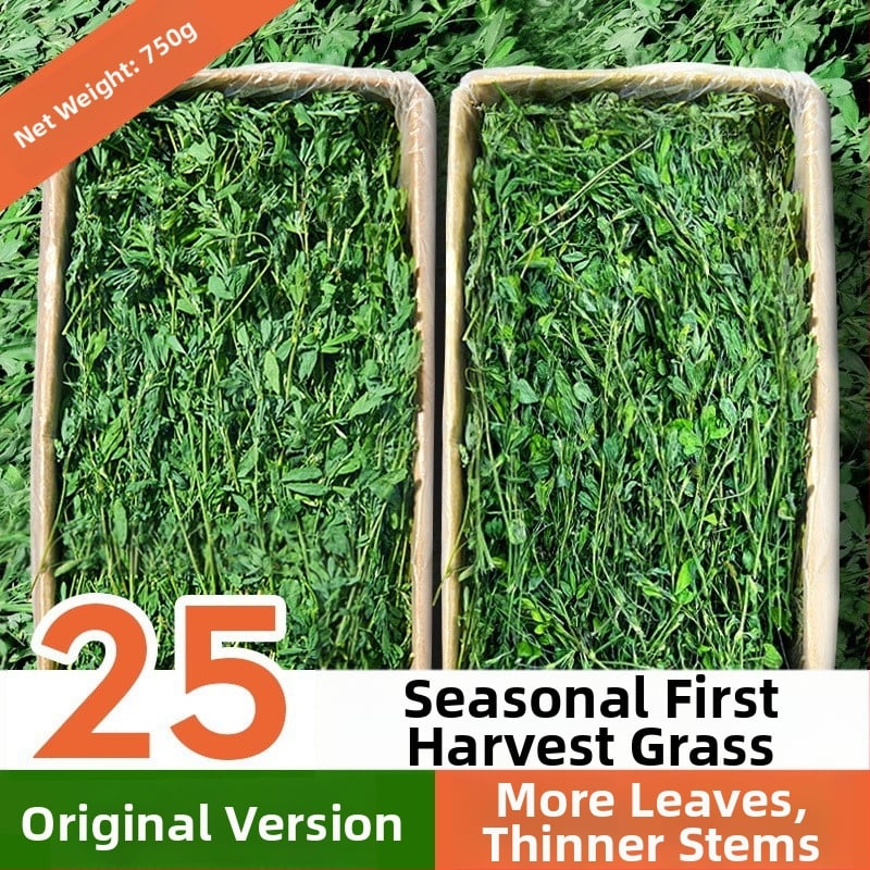 Sausa barība mājdzīvniekiem – Yee/Italian Brand (Tips: sausa barība; Zīmols: Yee/Italian Brand; Svars: 500 g; Kategorija: mājdzīvnieku barība; Privātā etiķete ar licenci: Jā)