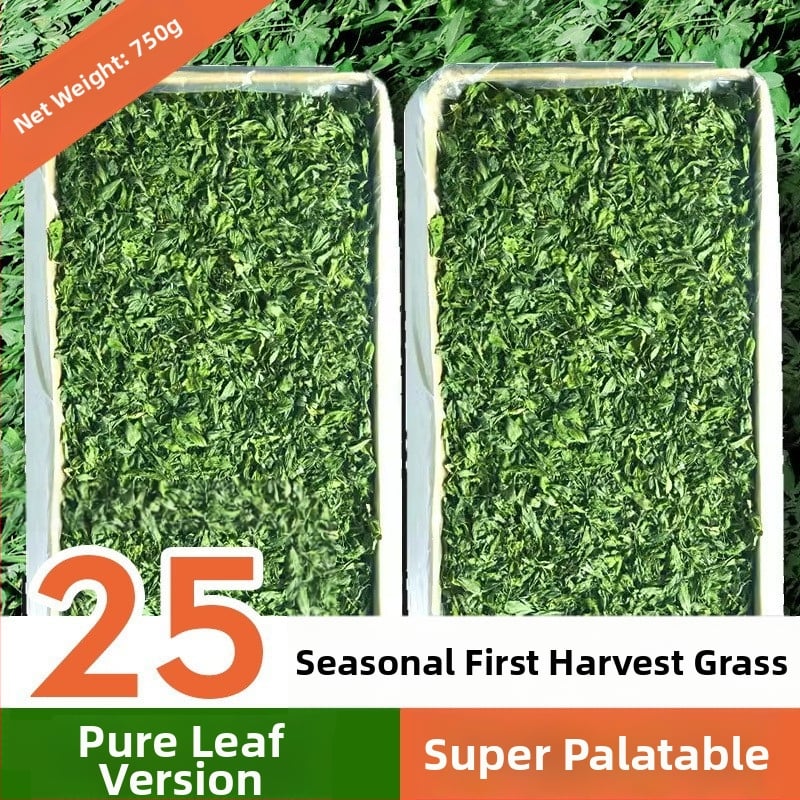 Sausa barība mājdzīvniekiem – Yee/Italian Brand (Tips: sausa barība; Zīmols: Yee/Italian Brand; Svars: 500 g; Kategorija: mājdzīvnieku barība; Privātā etiķete ar licenci: Jā)