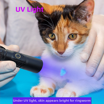 UV инспекционен фенер LED 10W, корпус от алуминиева сплав, батерия, ръчна задвижване, обхват до 50 м