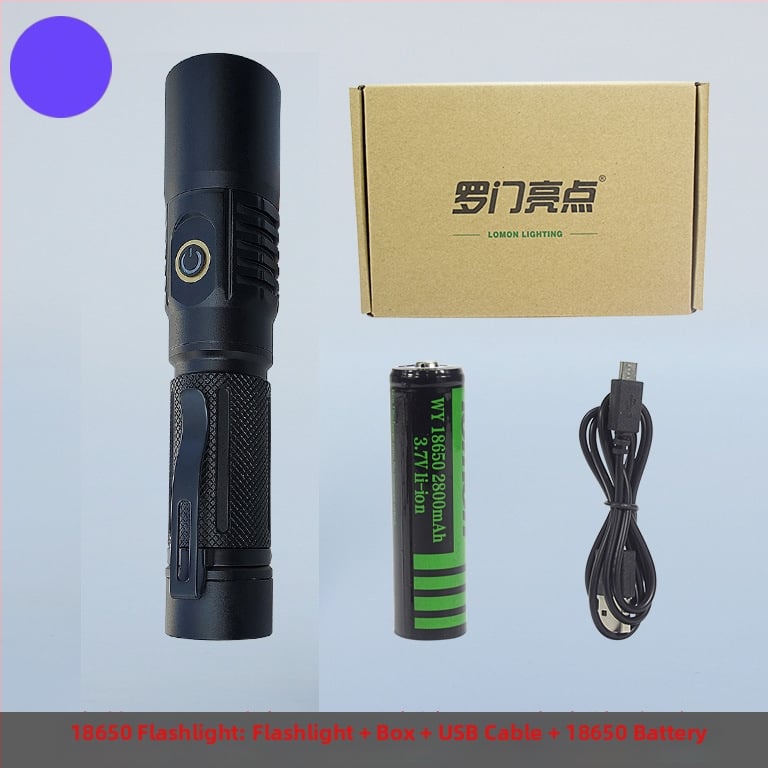 UV инспекционен фенер LED 10W, корпус от алуминиева сплав, батерия, ръчна задвижване, обхват до 50 м