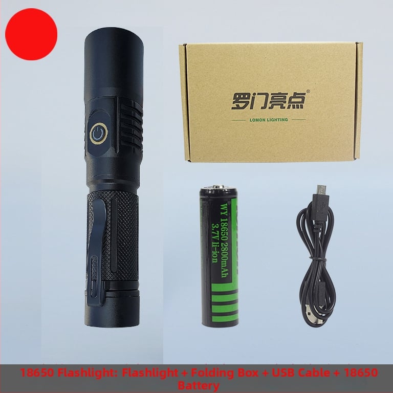 UV инспекционен фенер LED 10W, корпус от алуминиева сплав, батерия, ръчна задвижване, обхват до 50 м