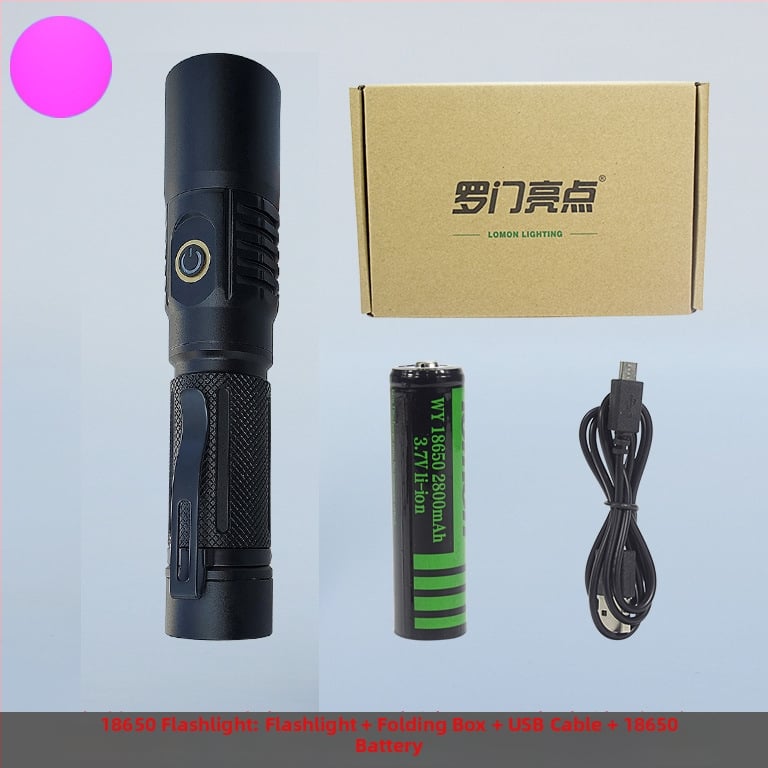 UV инспекционен фенер LED 10W, корпус от алуминиева сплав, батерия, ръчна задвижване, обхват до 50 м