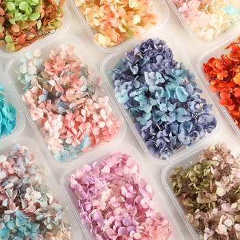 Set DIY pentru artă florală cu Hydrangea din flori uscate și permanente, design gradient, pentru nunți și teambuilding