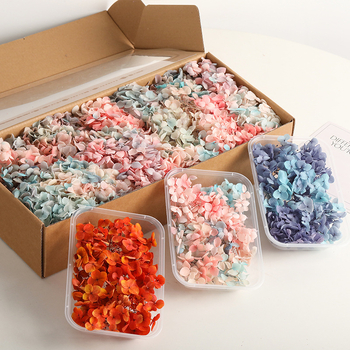 Set DIY pentru artă florală cu Hydrangea din flori uscate și permanente, design gradient, pentru nunți și teambuilding