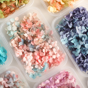 Set DIY pentru artă florală cu Hydrangea din flori uscate și permanente, design gradient, pentru nunți și teambuilding
