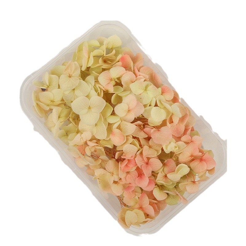 Set DIY pentru artă florală cu Hydrangea din flori uscate și permanente, design gradient, pentru nunți și teambuilding