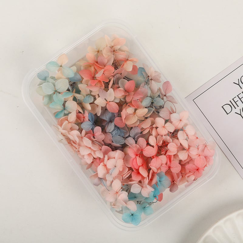 Set DIY pentru artă florală cu Hydrangea din flori uscate și permanente, design gradient, pentru nunți și teambuilding
