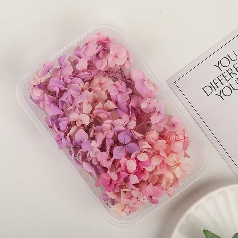 Set DIY pentru artă florală cu Hydrangea din flori uscate și permanente, design gradient, pentru nunți și teambuilding